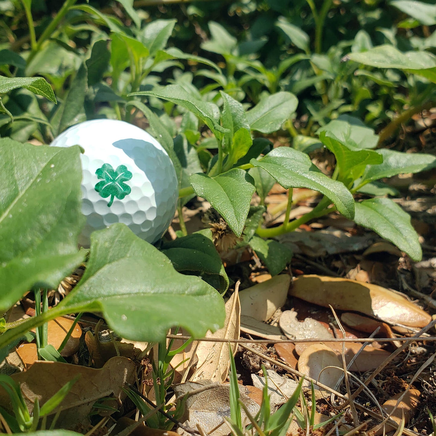 ball tatt shamrock ball stamp on golf course