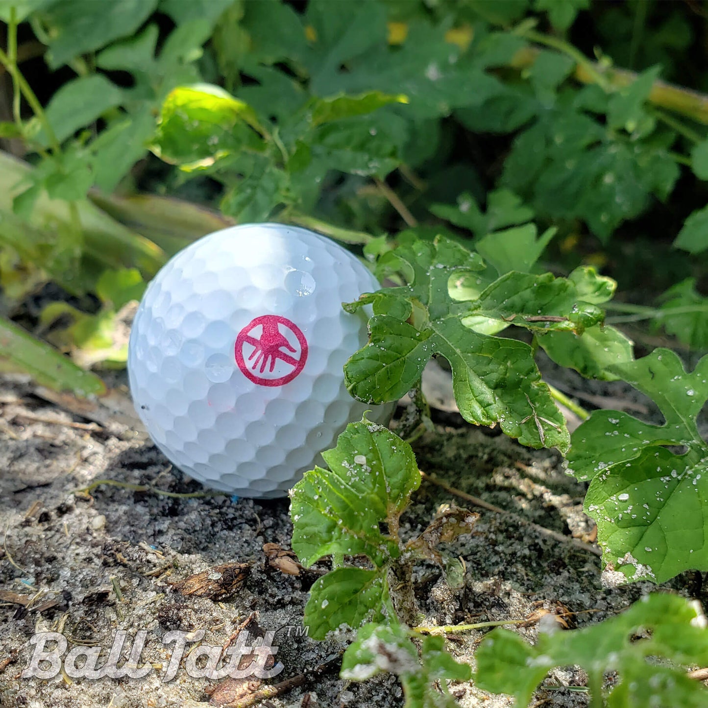 dont touch ball tatt golf course