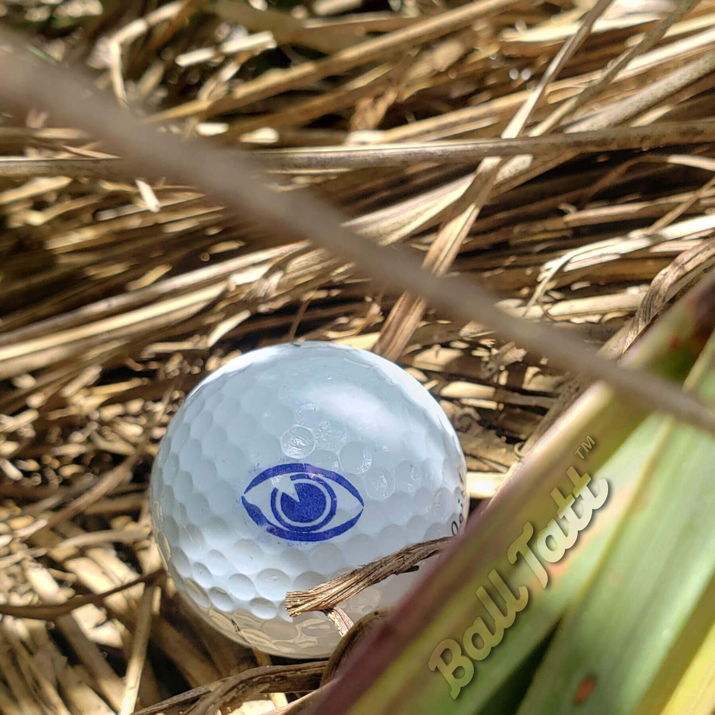 eyeball ball tatt ball stamper golf course