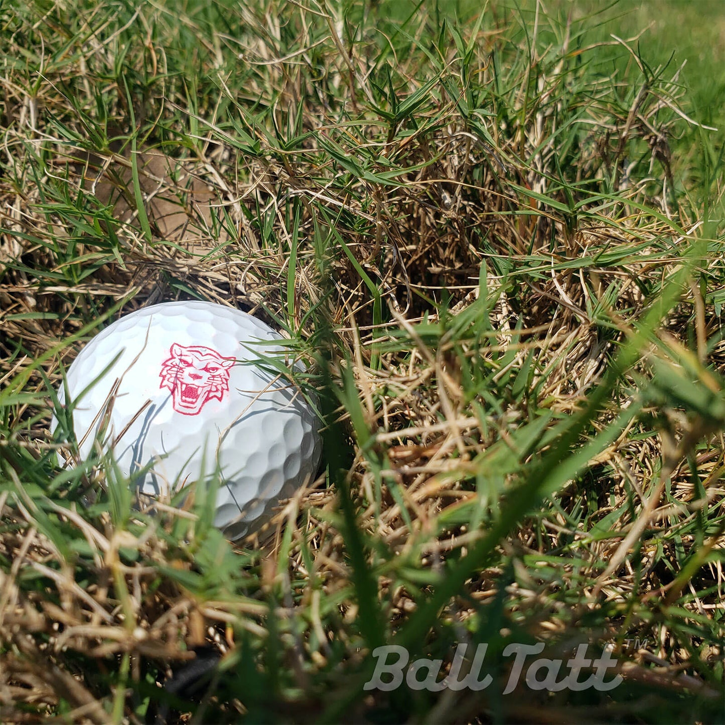 tiger ball tatt ball in rough