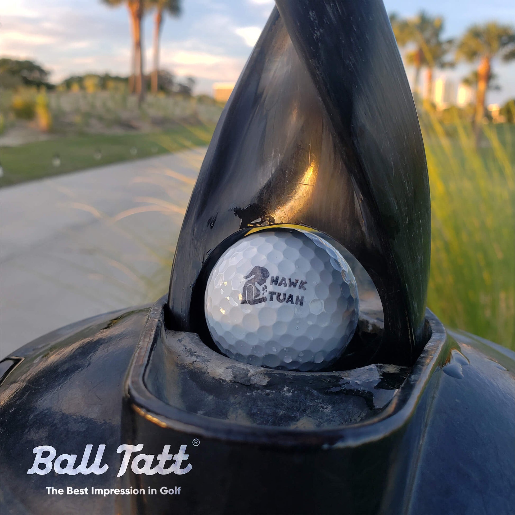 hawk tuah ball tatt golf ball stamp in ball washer 