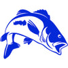 Bass Fish