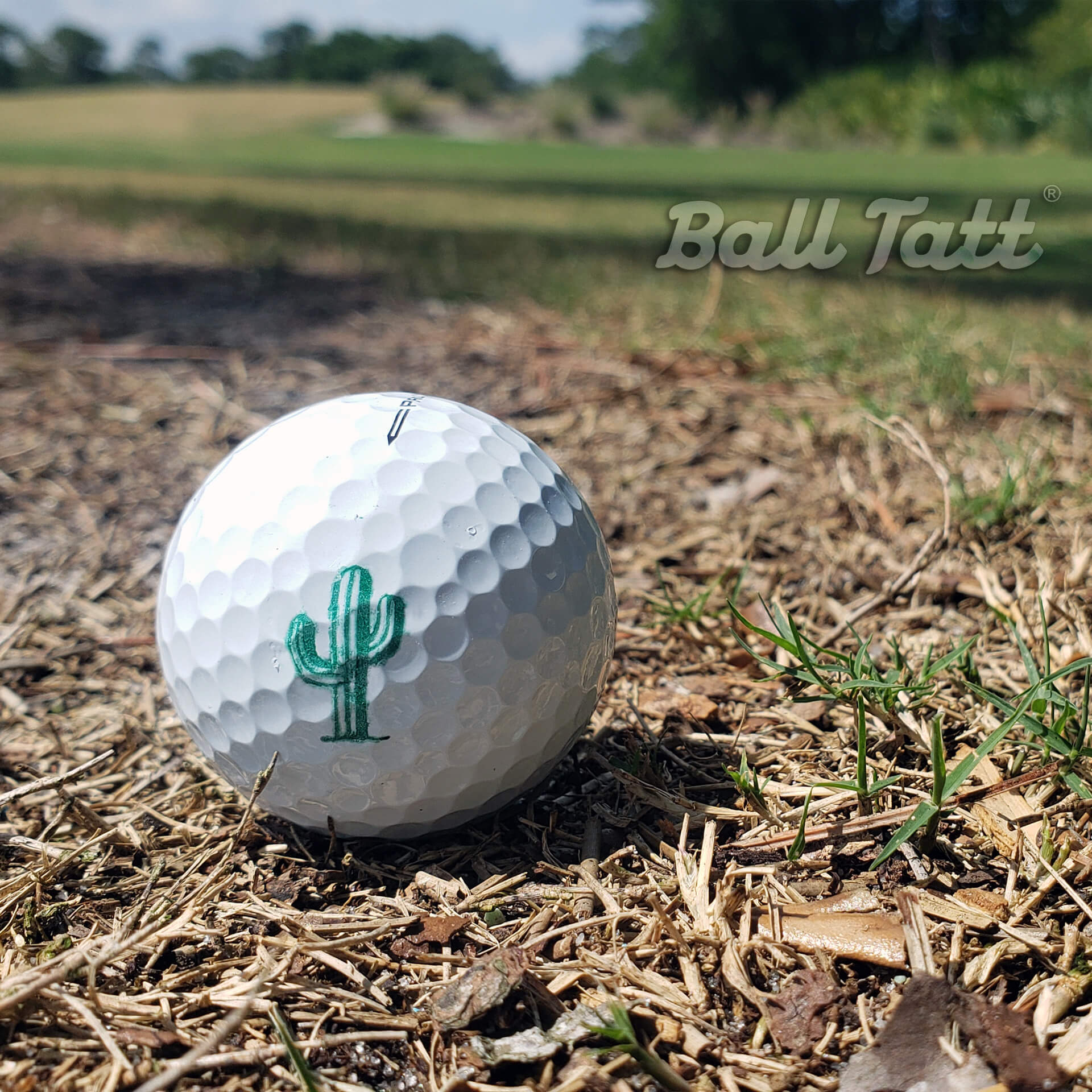 ball tatt cactus stamp golf course