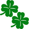 Clover Two Pack