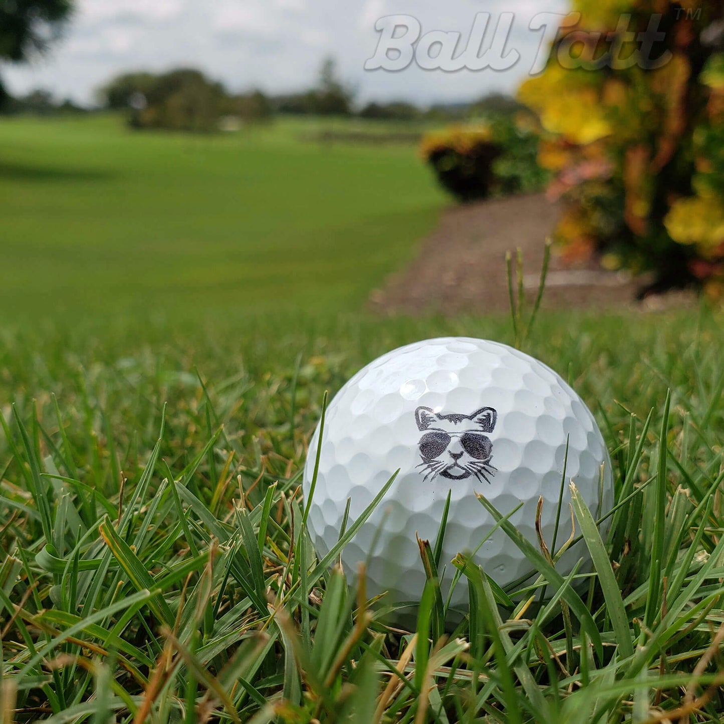 cool cat ball tatt golf stamp on golf course