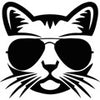 Cool Cat