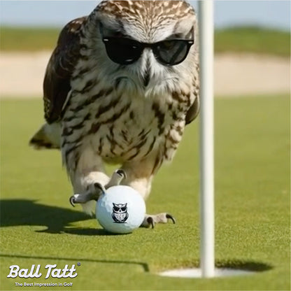 Cool Owl