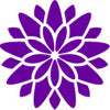 Flower Burst