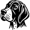 German Pointer