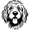 Golden Doodle