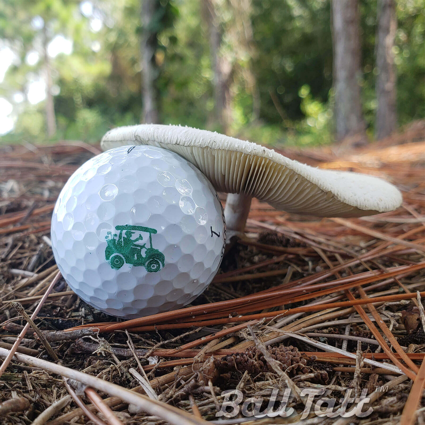 golf cart ball tatt on golf course