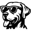 Labrador