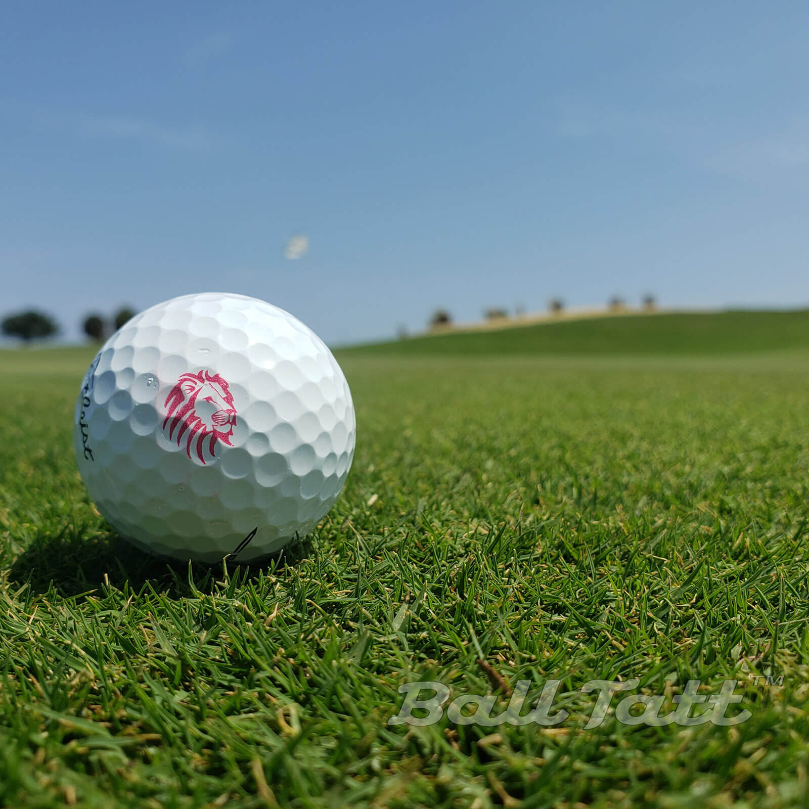 lion ball tatt golf ball fairway