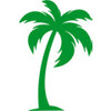Palm Tree