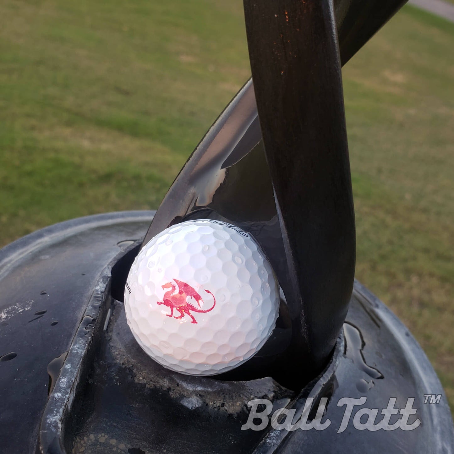 red dragon ball tatt golf course