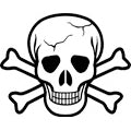 Skull & Crossbones