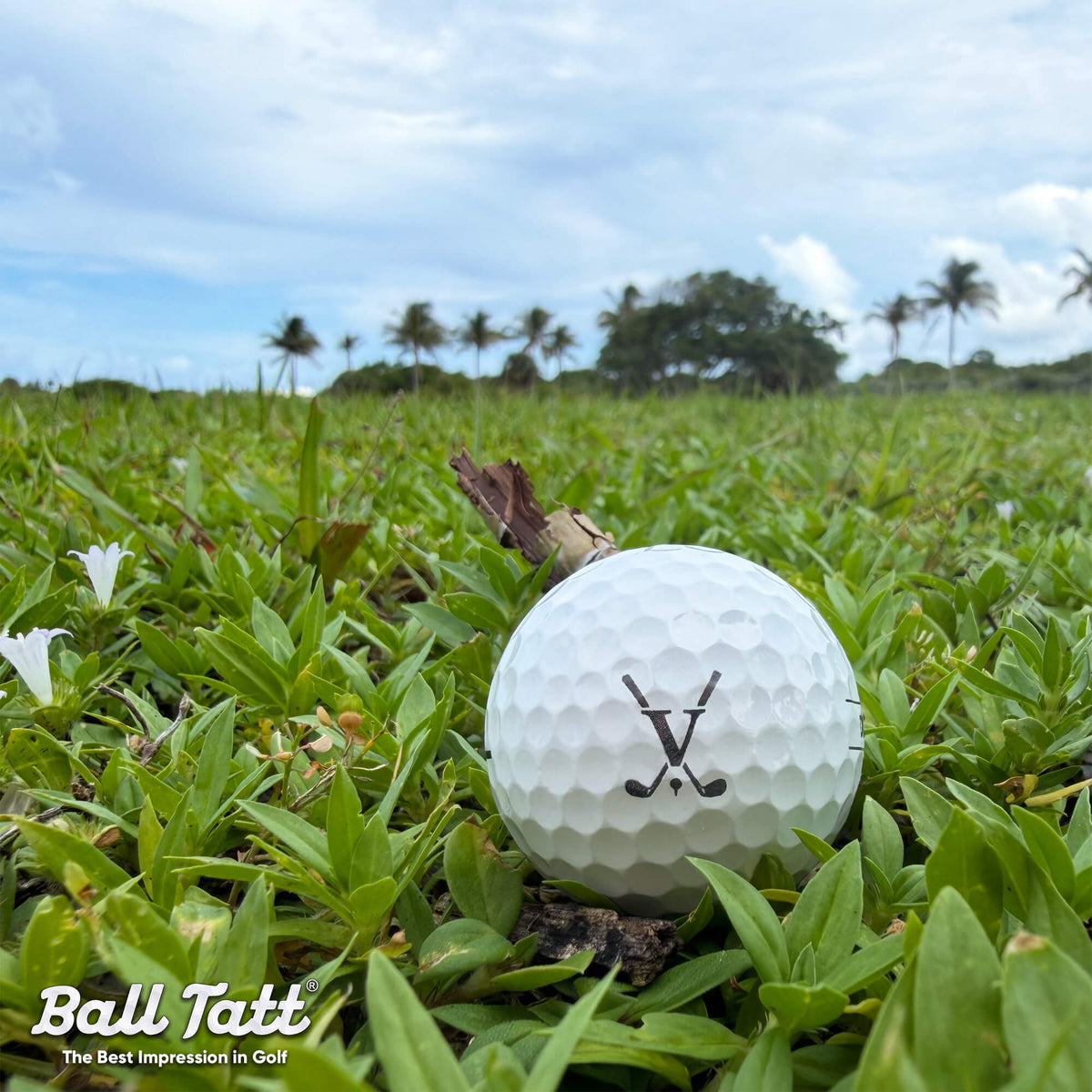 V Monogram Golf Clubs